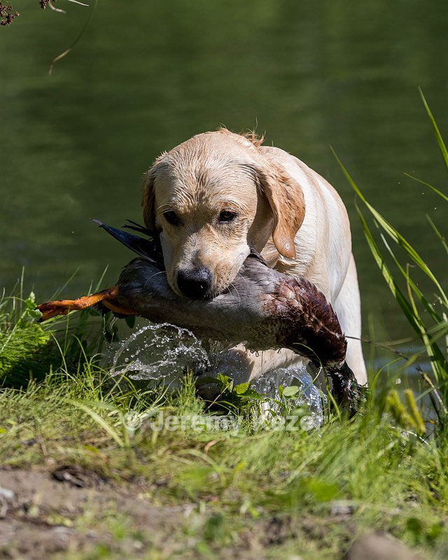 Weatherby Rowland