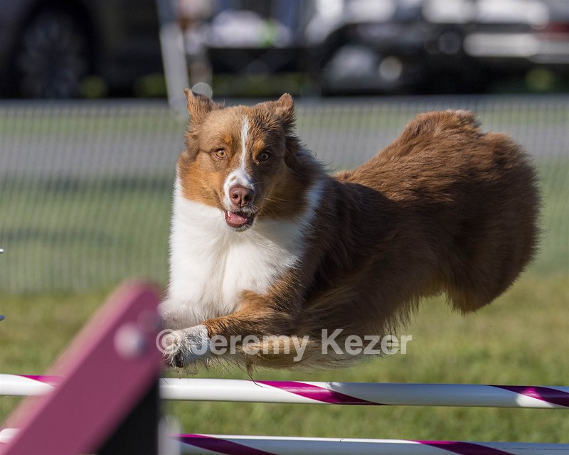 20230917-PVKC-2051.jpg