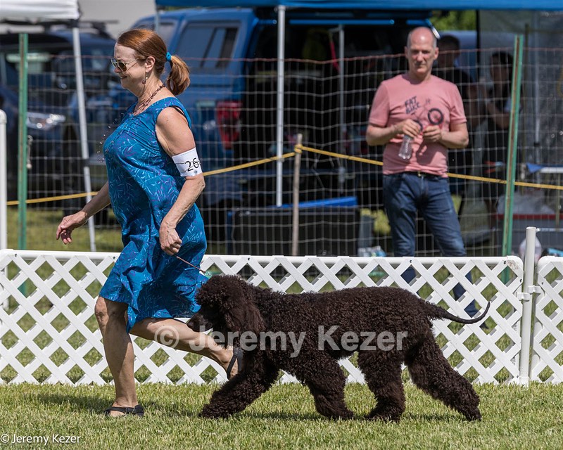 26 - Riverdance Enya Of Lake Alexander