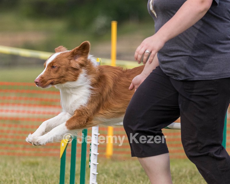 20180616-1848.jpg
