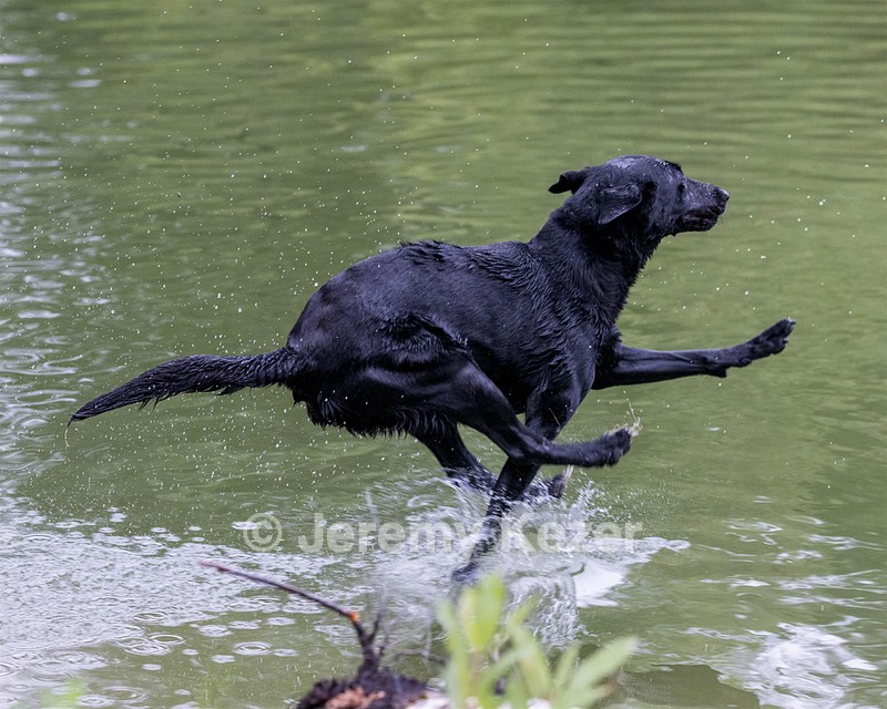 Ziva Jefferson