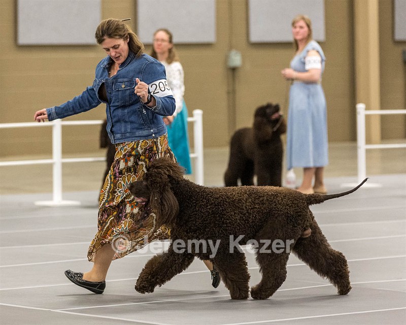 205 - GCHB CH Flintcrest Five Star General CGC TKN