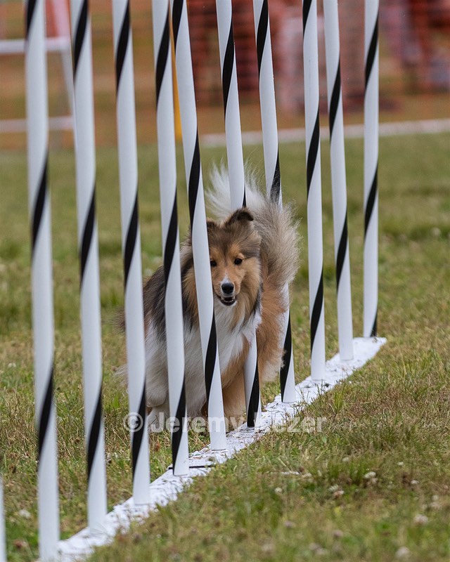 20190616-CCKC-0472.jpg
