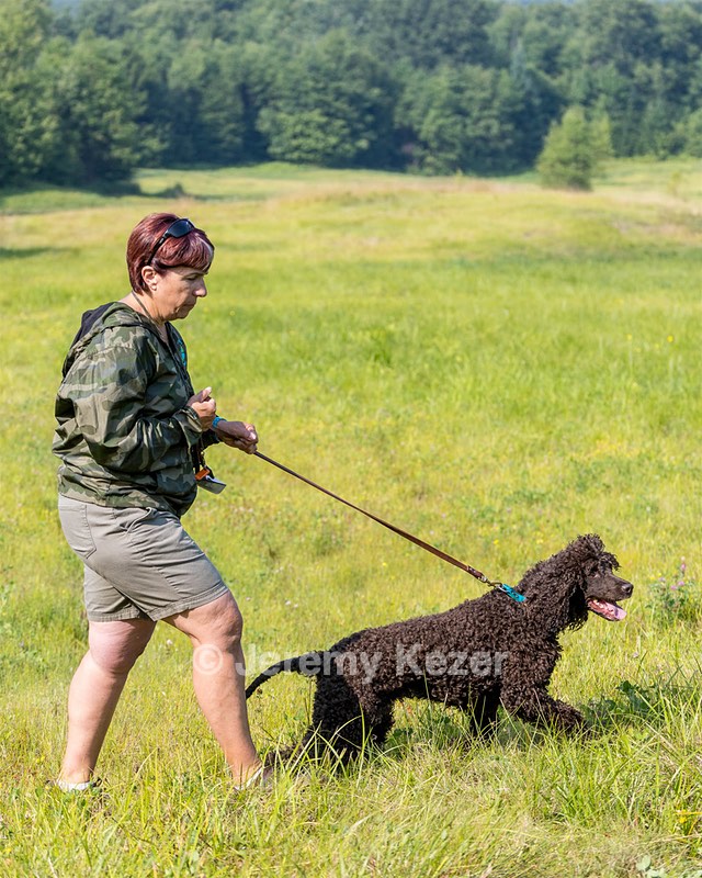 Ghillie Kezer