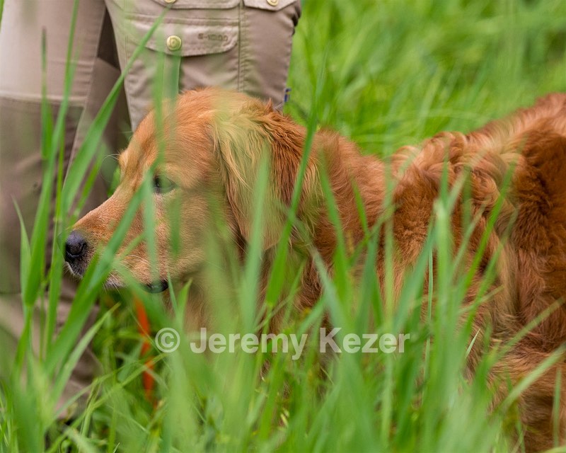 Chester Kuegler