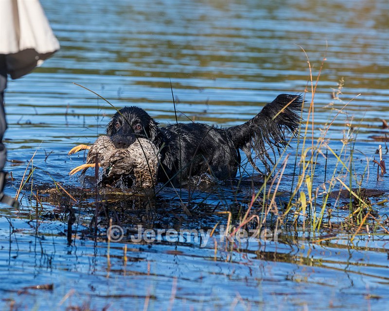 Teagan McManus