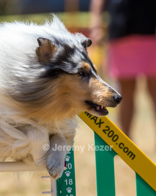 20160618-CCKC-1039.jpg