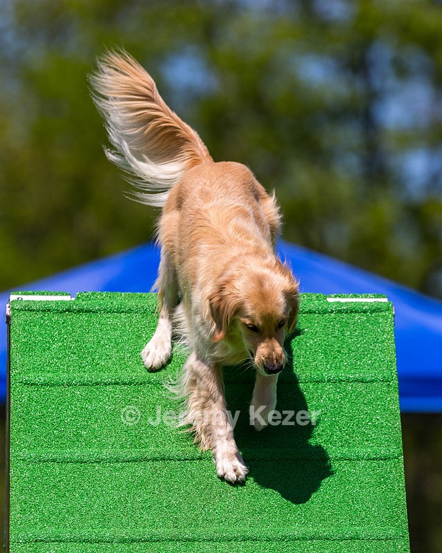 Ollie Erbe