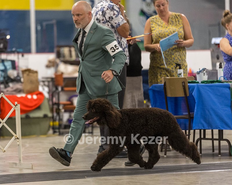 359 - CH Realta's Sycomore Lady Colette Of Evora