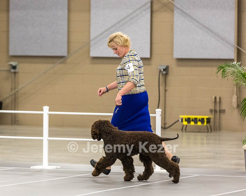 14 - Kendall’s Anyone Can Whistle TKN (Betty)