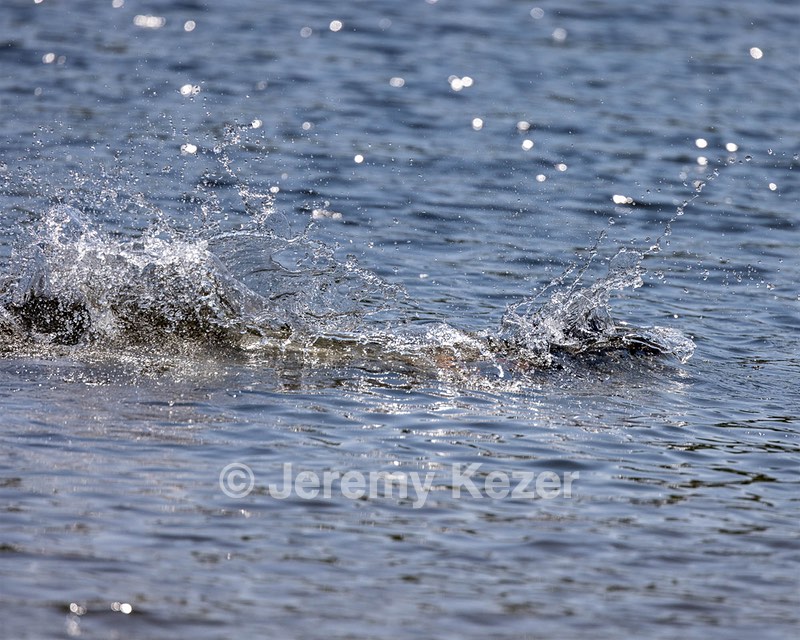Rio Abbruzzese