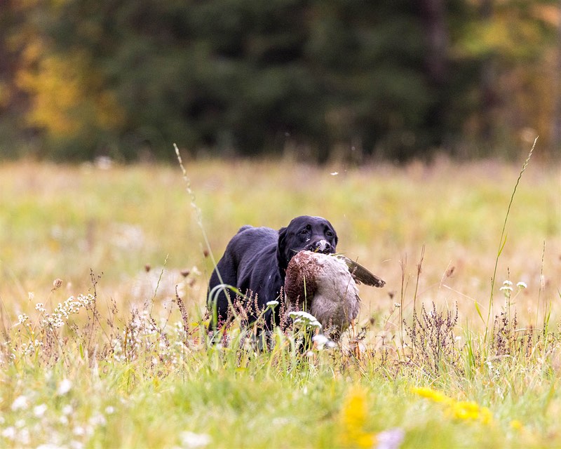 Ruby Horne