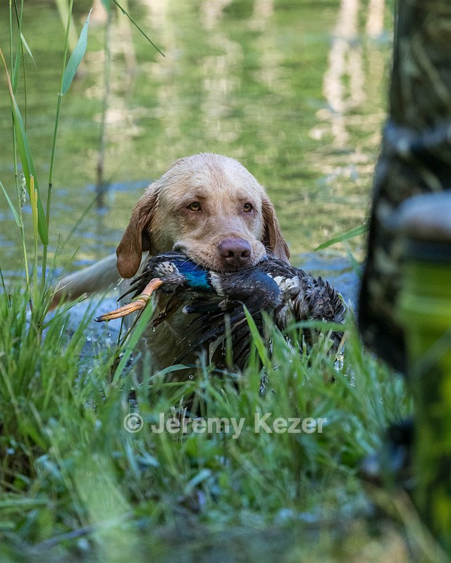 Bubba Martin