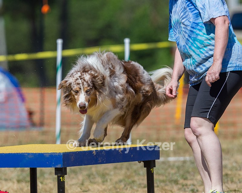 Keebler Derby