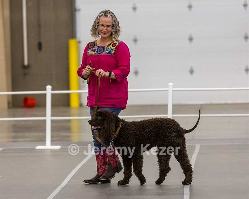 712 - Kealy Idaho IWS