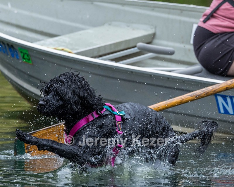 Rory Cox