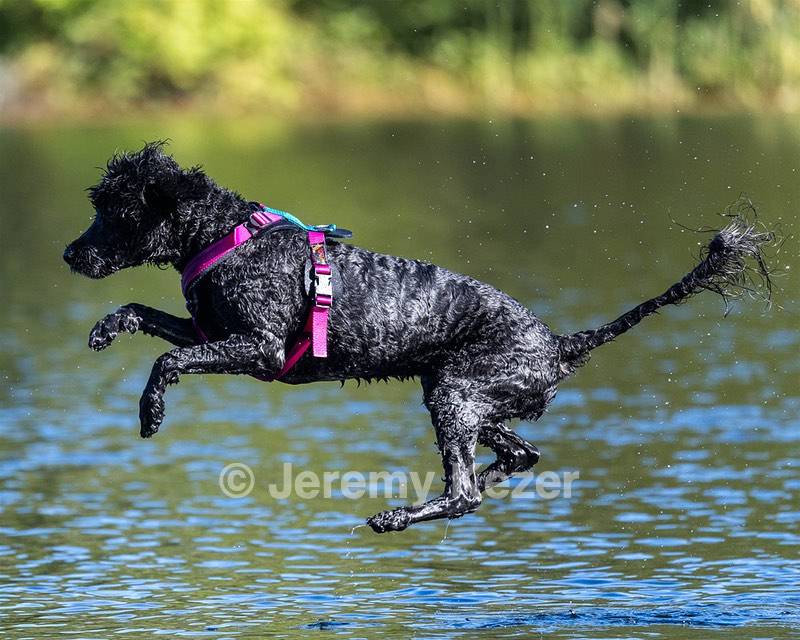 Rory Cox