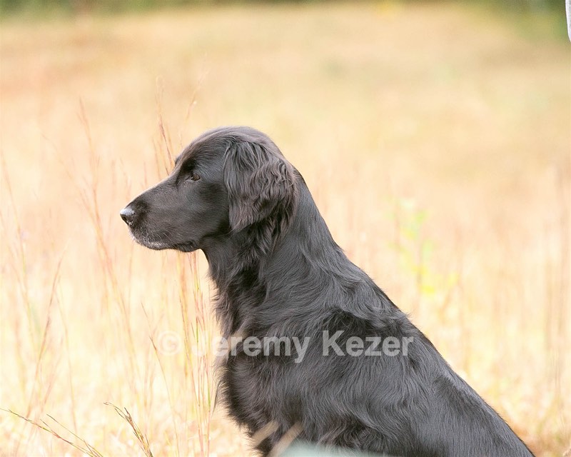 Hannah