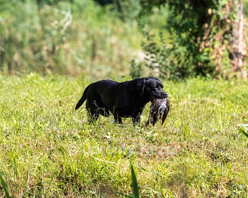 Cinder Mellon