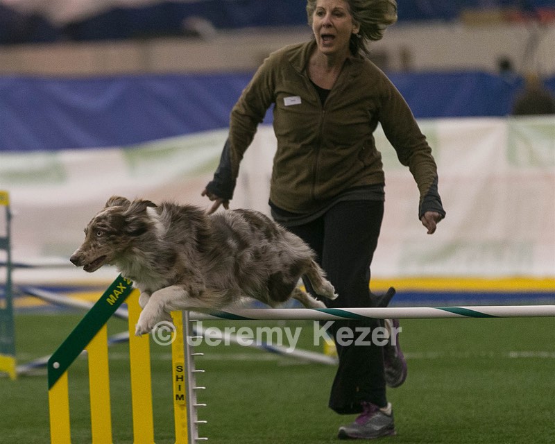 20150321-LEAP-0313.jpg