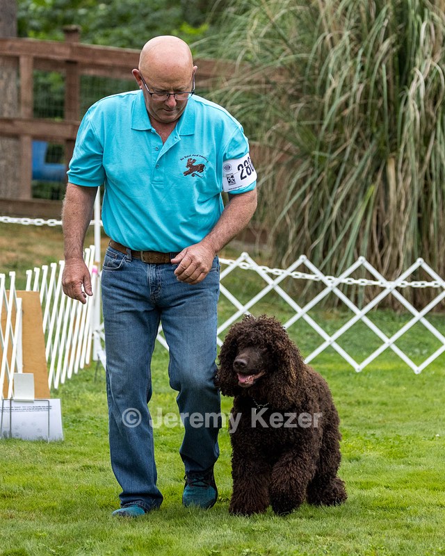 2802 - CH BLACKTHORN'S LASS THAT LOVES A SAILOR IN WICKLOW CD BN RM CGC (Calypso)