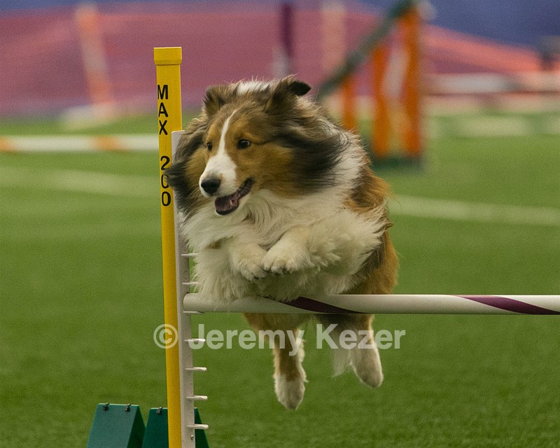 20150321-LEAP-1388.jpg