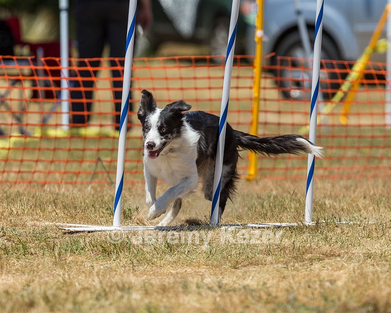 20160619-CCKC-1067.jpg