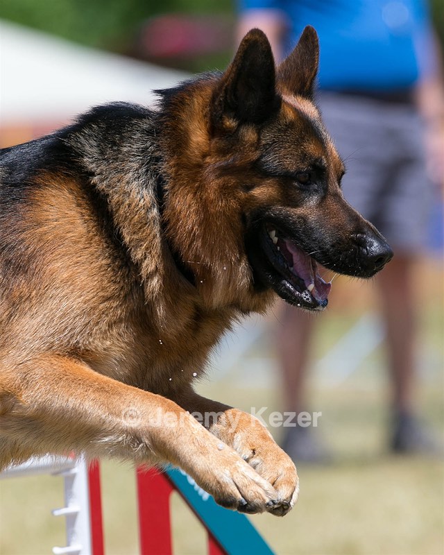 20150613-CCKC-0307.jpg