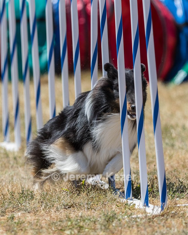 20160618-CCKC-1683.jpg