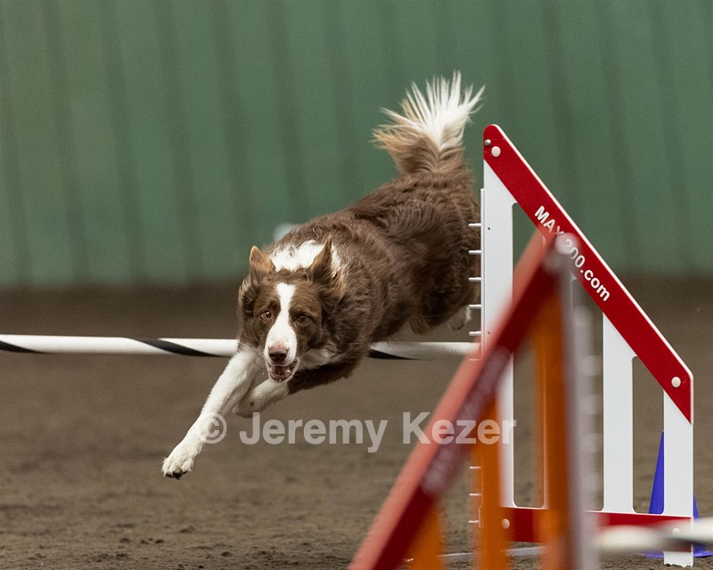 Ruff Bettler