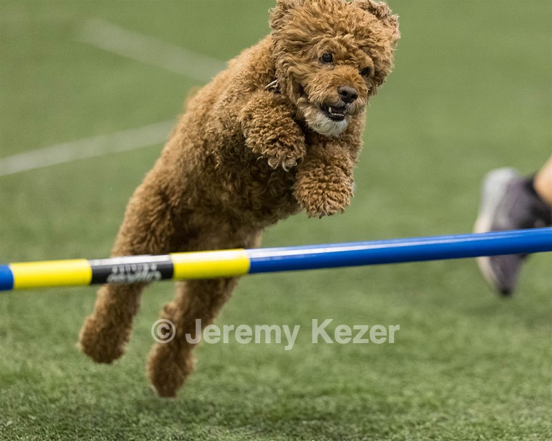 Champ Soccodato