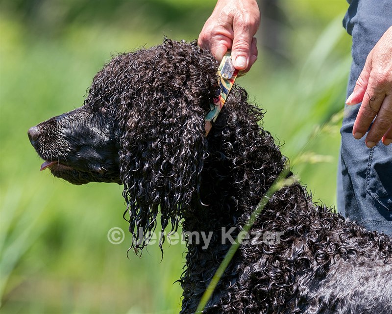 Ghillie Kezer