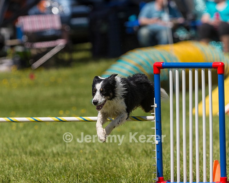 Jaxx Erskine