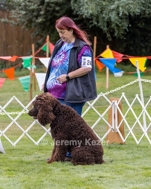 2401 - CAT'S' RUSTY CHARLIE RI CGC TKA (Dugan)