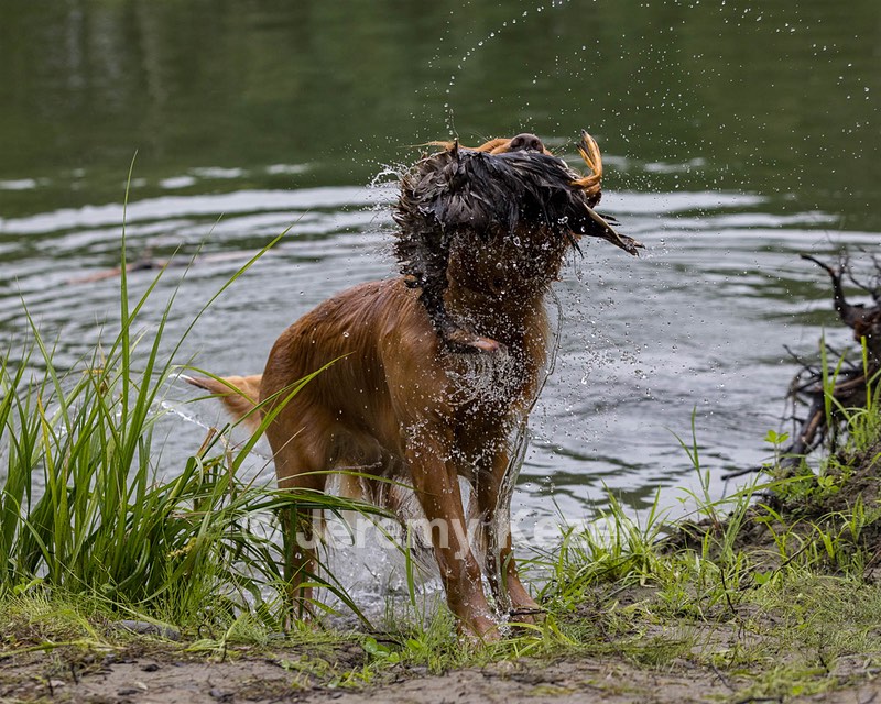 Camo Smollin