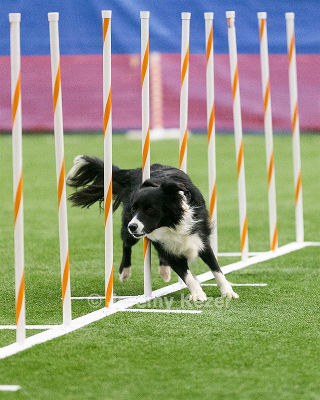 20150322-LEAP-0922.jpg