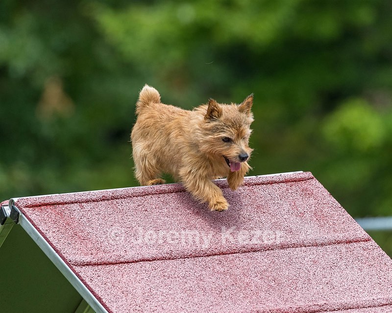 Jack Krantz