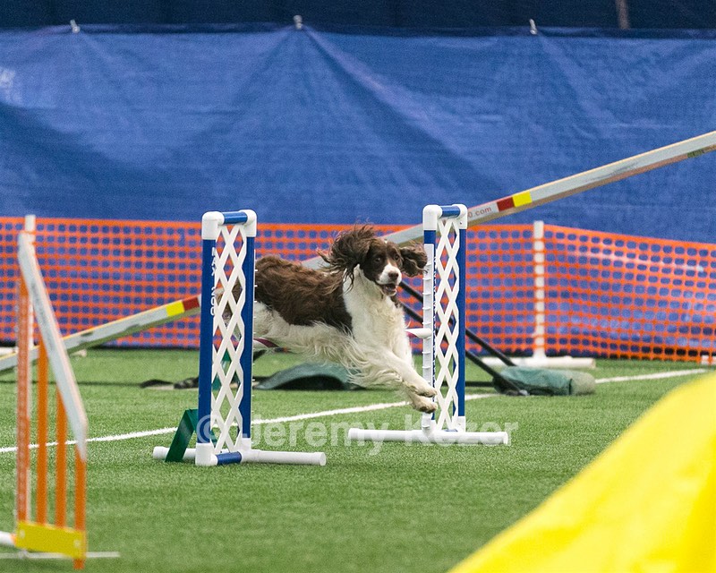 20150322-LEAP-0298.jpg