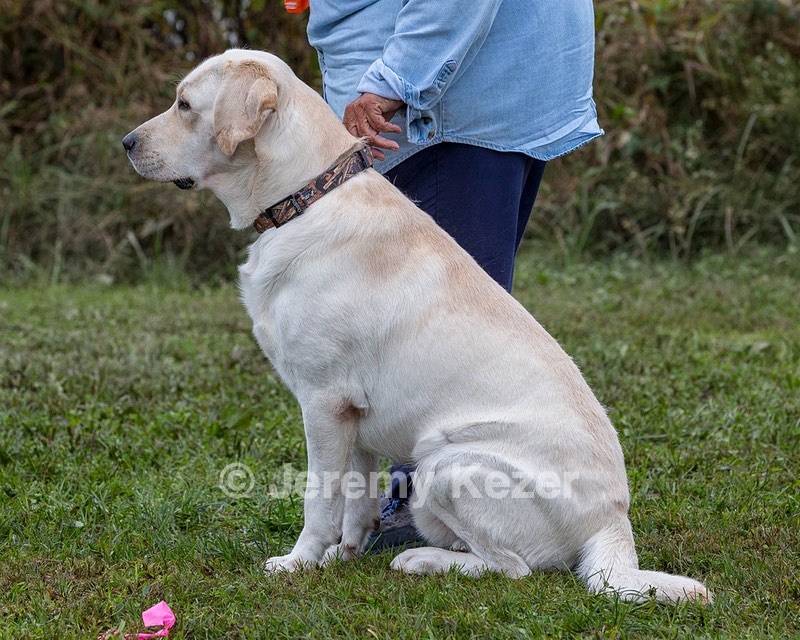 Henry