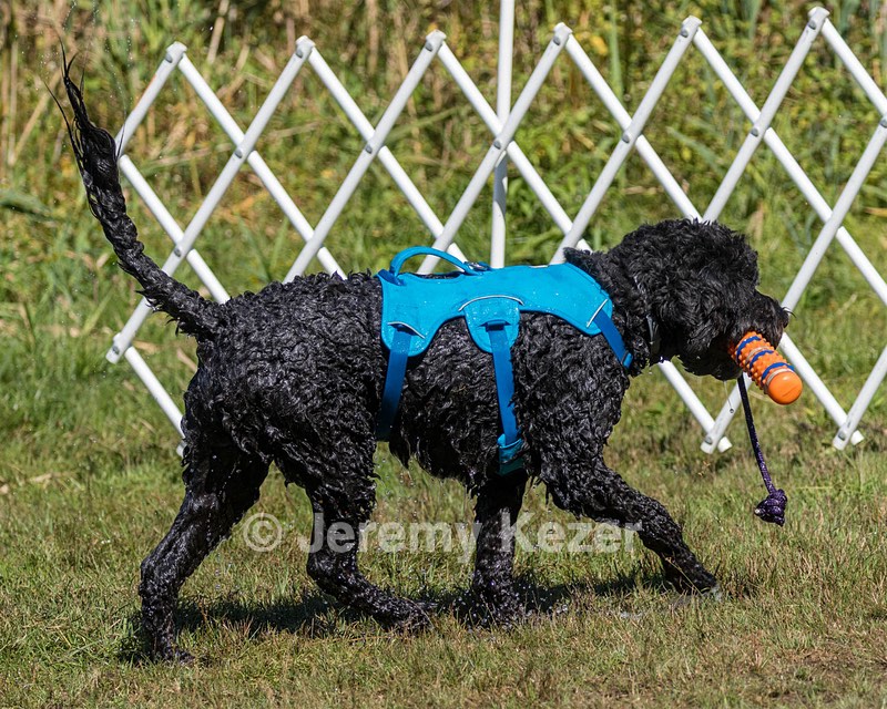 Fenwick Janet