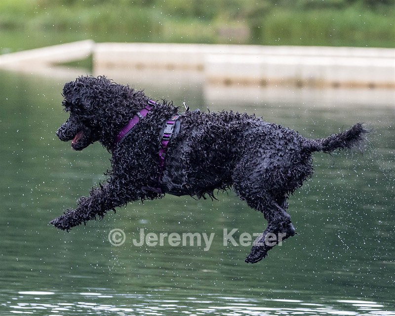 Xena Zussman