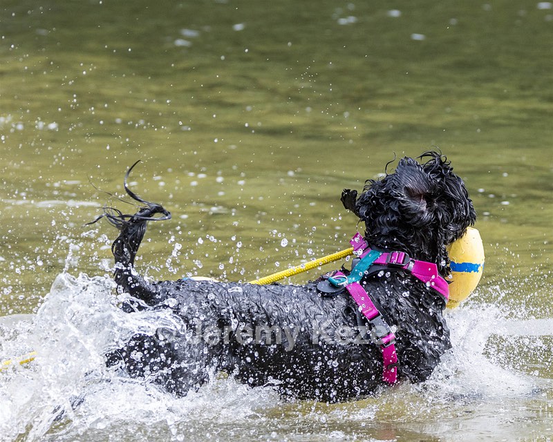 Rory Cox