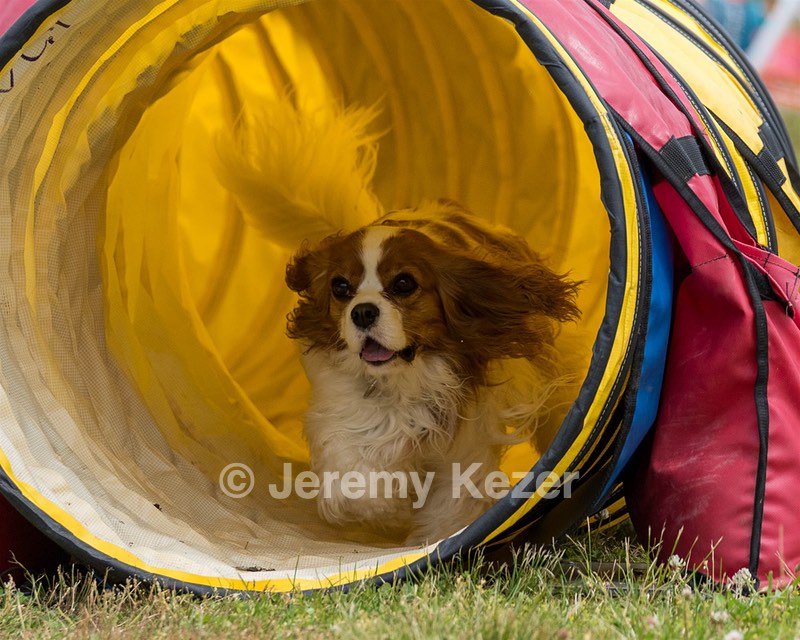 20190616-CCKC-1158.jpg