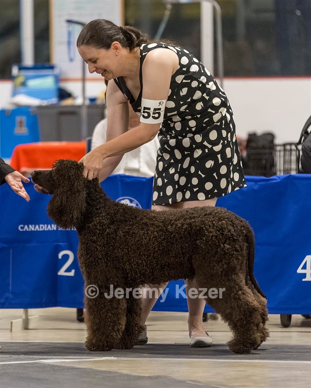355 - GCH Ildanoch's Party Rock Anthem