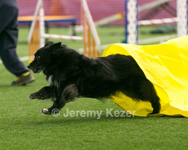 20150322-LEAP-0362.jpg