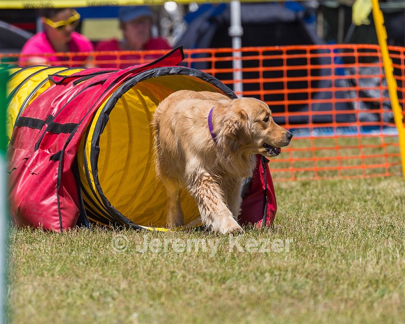 20190615-CCKC-1060.jpg