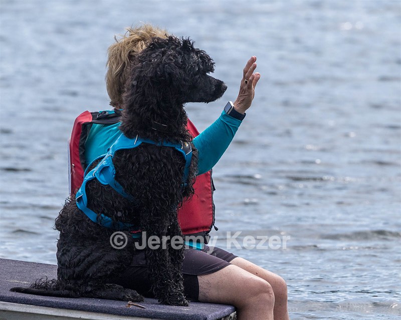 Boaty Bellicose