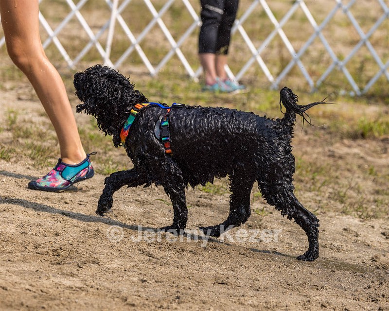 Nattie Annie