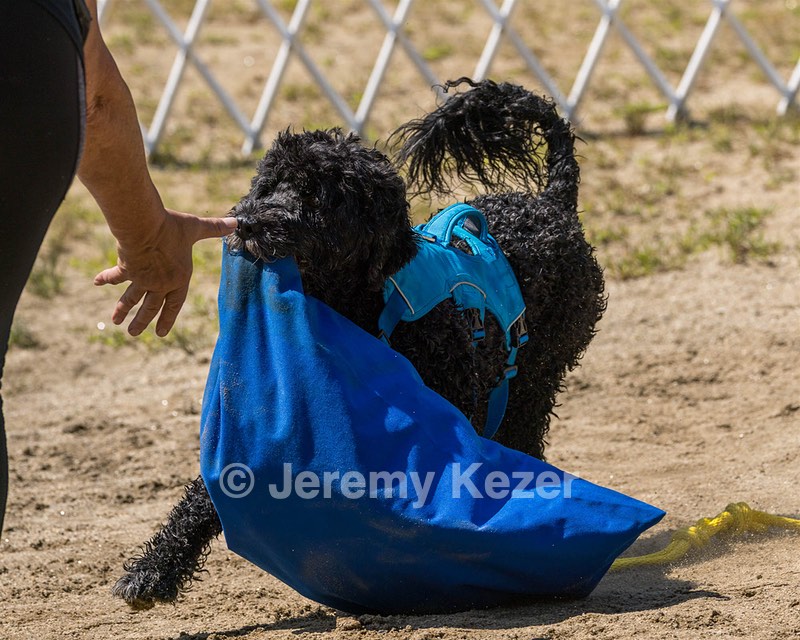 Fenwick Kutner