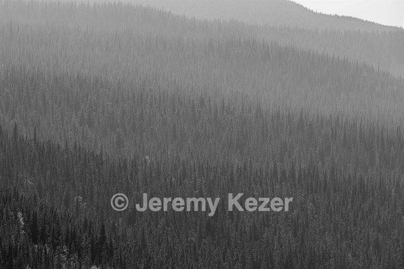 Glacier National Park